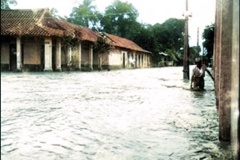 58.-Un-transeunte-se-desplaza-entre-la-corriente-sobre-la-Avenida-5-de-mayo
