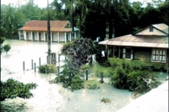 60.-La-casa-verde-vista-desde-el-campanario-de-la-parroquia-Al-fondo-la-casa-de-las-senoritas-Ocampo-Lavalle