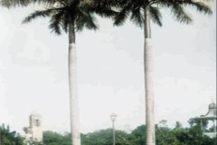 1905-Parque-Juarez-en-1905