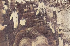 1945-Llegada-de-la-planta-de-energia-electrica-a-Tuxtepec