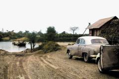 1950-Panga-de-toro-bravo-alrededor-de-1950