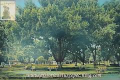 1969-Parque-Juarez-desconozco-la-fecha-pero-podria-datar-de-alrededor-de-1969-1971