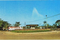 1970-Monumento-de-flor-de-pina-alrededor-de-1970