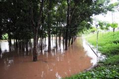 2000-Muro-Boulevard-en-el-2000-aproximadamente